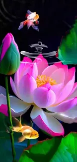 Flower Plant Lotus Live Wallpaper