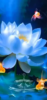 Flower Plant Lotus Live Wallpaper