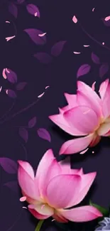 Flower Plant Lotus Live Wallpaper