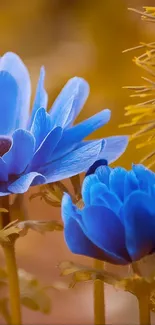 Flower Plant Petal Live Wallpaper