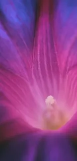 Flower Plant Petal Live Wallpaper