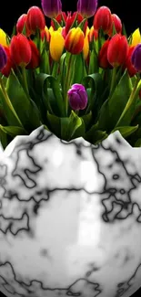 Flower Plant Petal Live Wallpaper