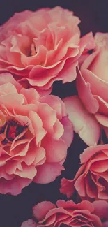 Flower Plant Petal Live Wallpaper