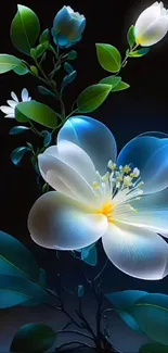 Flower Plant Petal Live Wallpaper