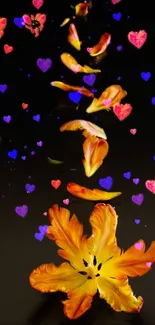 Flower Plant Petal Live Wallpaper