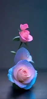 Flower Plant Petal Live Wallpaper