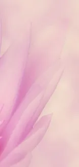 Flower Plant Petal Live Wallpaper