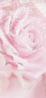 Flower Plant Petal Live Wallpaper