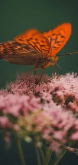 Flower Plant Pollinator Live Wallpaper