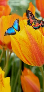 Flower Plant Pollinator Live Wallpaper