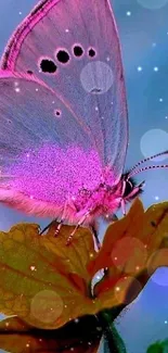 Flower Plant Pollinator Live Wallpaper