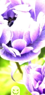 Flower Plant Purple Live Wallpaper