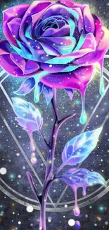 Flower Plant Purple Live Wallpaper