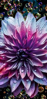 Flower Plant Purple Live Wallpaper