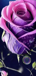 Flower Plant Purple Live Wallpaper