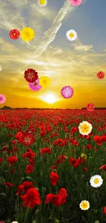 Flower Plant Sky Live Wallpaper