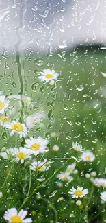 Flower Plant Water Live Wallpaper