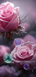 Flower Plant Water Live Wallpaper