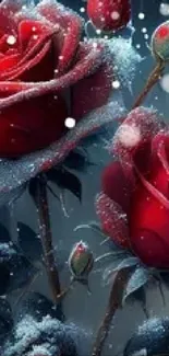 Flower Plant Water Live Wallpaper