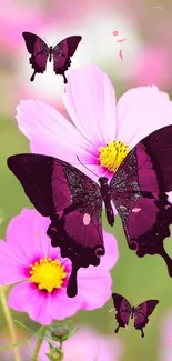 Flower Pollinator Insect Live Wallpaper