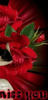 Flower Red Petal Live Wallpaper