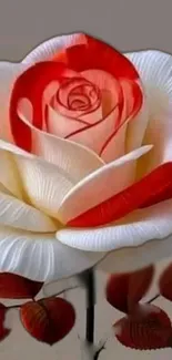 Flower Red Petal Live Wallpaper