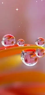 Macro droplets reflecting flowers on colorful mobile wallpaper.