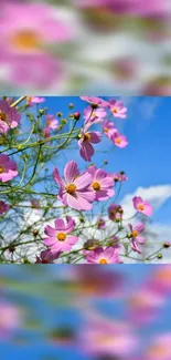 Flower Sky Daytime Live Wallpaper