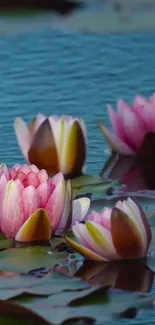 Flower Water Plant Live Wallpaper