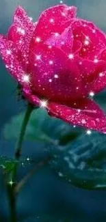 Flower Water Plant Live Wallpaper