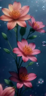 Flower Water Plant Live Wallpaper