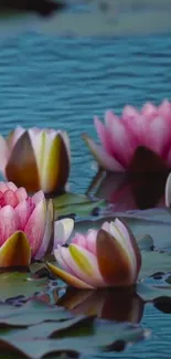 Flower Water Plant Live Wallpaper