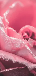 Flower Water Plant Live Wallpaper