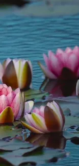 Flower Water Plant Live Wallpaper