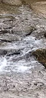 A close-up view of a flowing stream over rocks.