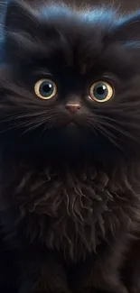 Adorable fluffy black kitten with large eyes.