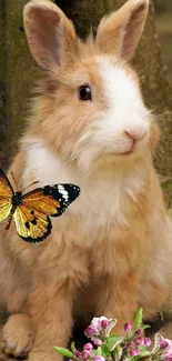 Fluffy bunny with a butterfly and flowers on a nature-themed wallpaper.