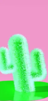 Fluffy green cactus against a bold pink background.