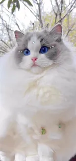 Fluffy cat with blue eyes and crown in an outdoor setting.