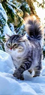 Plush cat strolling through snowy forest landscape.