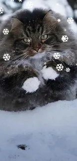 Fluffy cat playing in the snowy outdoors, creating a serene winter scene.