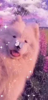 Fluffy dog with butterflies in a pink field.