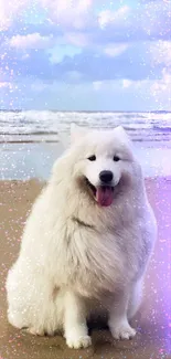 Fluffy white dog on the beach with pink and purple glitter