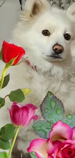 Fluffy white dog with colorful roses in a serene setting.