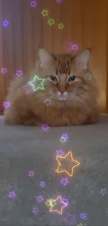 Fluffy ginger cat lying on a carpet in front of a wooden door.