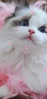 Fluffy kitten surrounded by pink feathers.