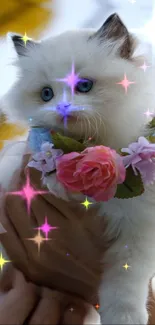 Fluffy white kitten with floral crown and sparkling stars.