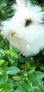 Fluffy white rabbit nestled among vibrant green leaves with sparkles.