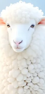 Fluffy white sheep with a soft blue background.