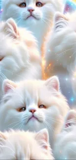 Fluffy white cats with galaxy background wallpaper.